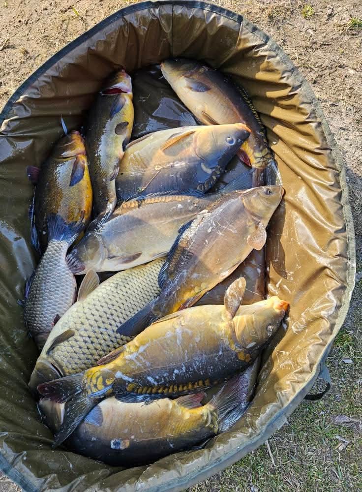 Sezon 2025 WhatsApp 105